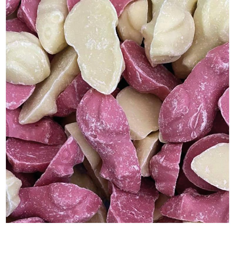 Pink & White Mice